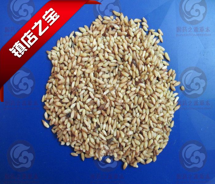 新品 山东原产地 正品 柏子仁 整齐 破壳率达 95%以上 500克