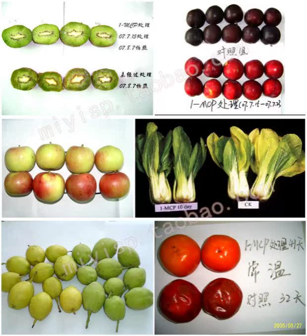 5克鲜博士蔬菜水果保鲜剂苹果猕猴桃柿子枣葡萄樱桃200包