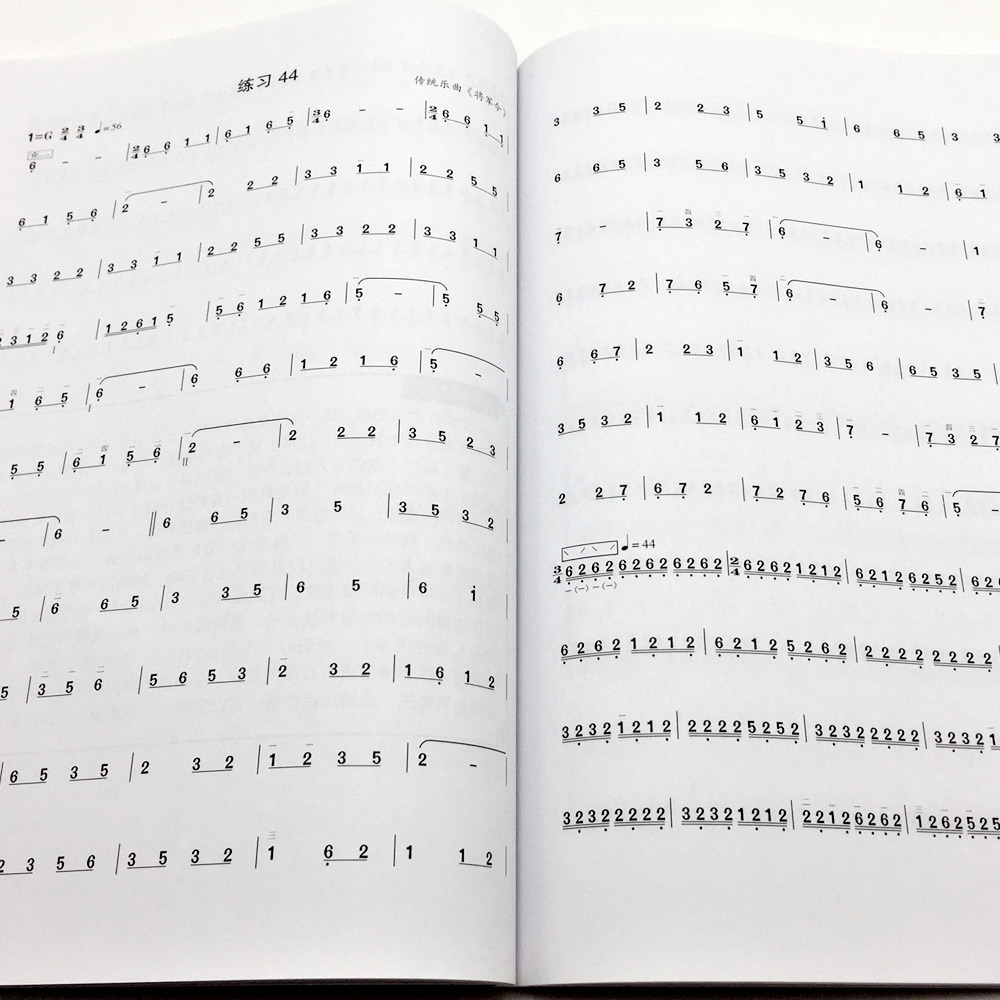 正版 每日必弹琵琶指能练习曲 庄永平著琵琶练习曲谱教程书 上海音乐
