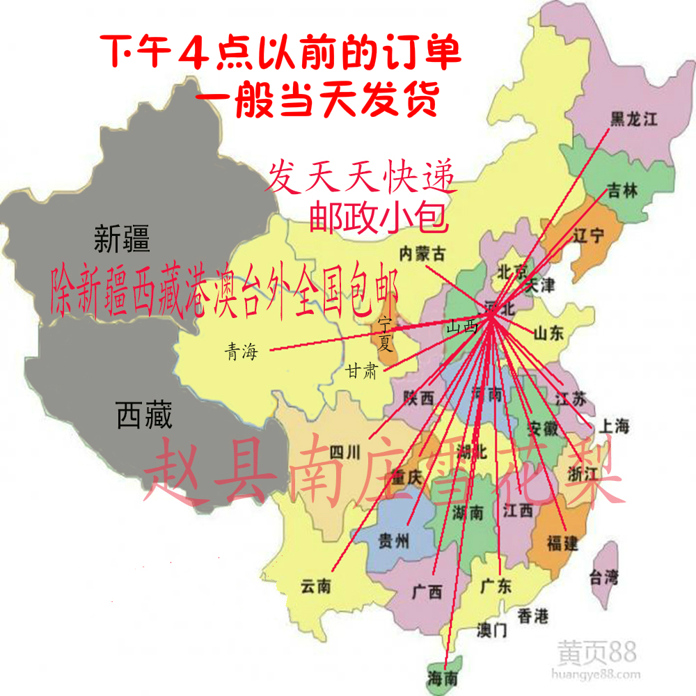 正宗河北大雪梨赵县赵州雪花梨煮冰糖雪梨 新鲜梨子冷库水果8斤装