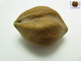 正品[橄榄核原料2.3]橄榄核原料批发评测 橄榄