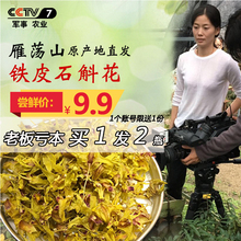 买1送1同款 铁皮石斛花茶枫斗干花茶应季新花仿野生霍山石斛苗
