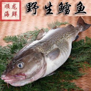 ̫ ͷ ̫ ʴͷ  غÿ2