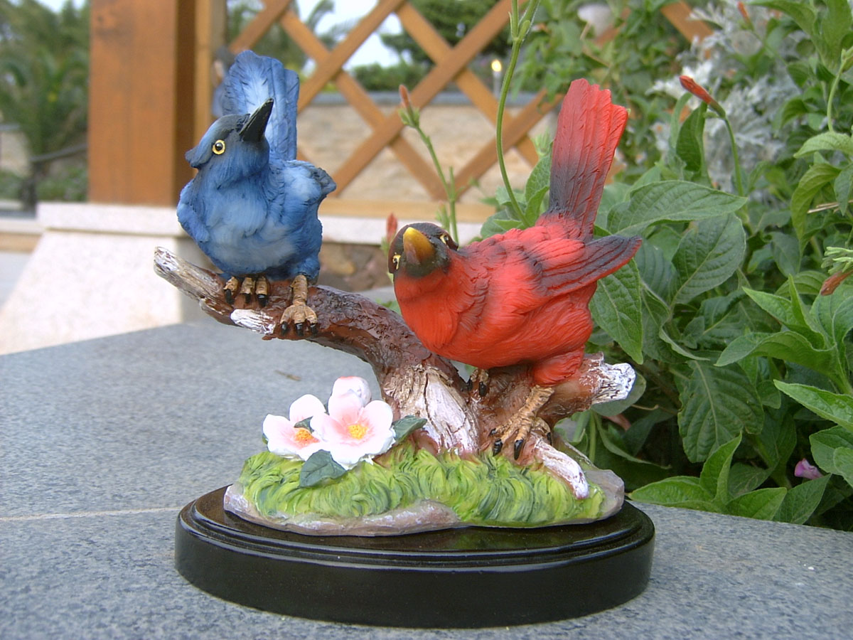 正品[小鸟 txt 书包]acome小鸟txt书包网评测 