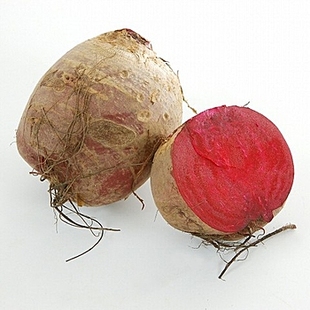 2014新鲜甜菜根 红菜头 药膳两用食材 东北江苏种植基地直发10斤