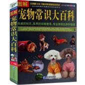 知识 权威 专业细致 图书籍 正版 养护指南 图解宠物常识大百科 全方位图解美绘版 以图解方法了解诠释宠物饲养常识 包邮
