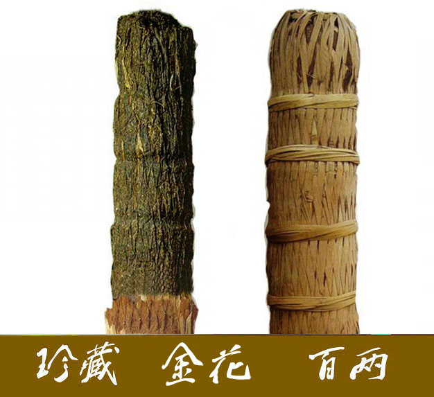 黑茶金花百两茶/安化黑茶安化冠突散囊菌百两茶/千两茶/安化黑茶