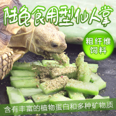 陆龟天然饲料多肉仙人掌片苏卡达辐射豹龟星龟整片整片可种植