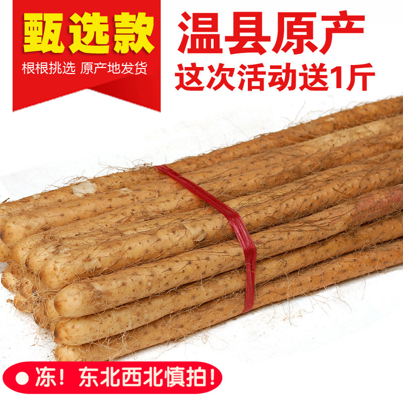 送1斤/河南温县铁棍山药焦作沙土怀淮山药新鲜特产铁杆棒实发5斤