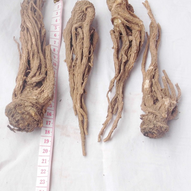 当归  精选上等特级无硫 100克