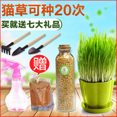 免邮 麦子种子 猫草种子猫零食猫咪去毛球猫薄荷猫用品猫草种植套装