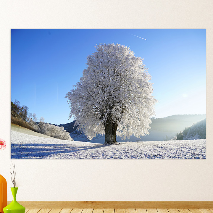 风景画订做自然风景摄影冬天雪景雾凇海报墙贴客厅卧室贴画249