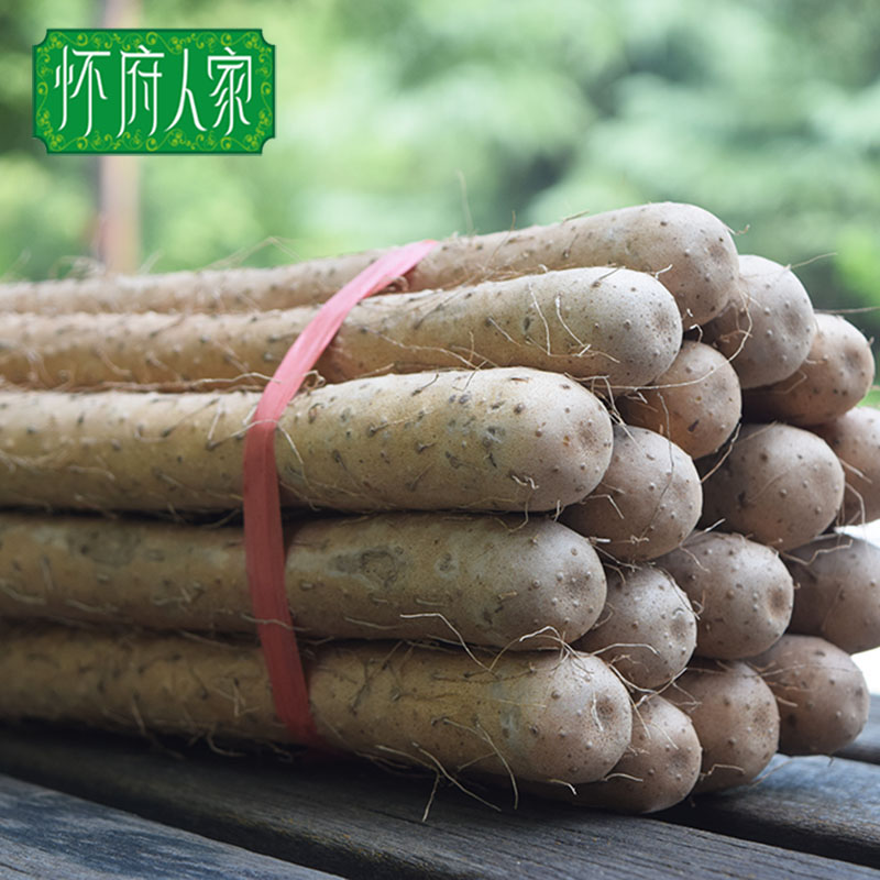河南焦作怀府人家精品铁棍山药500g  淮怀铁杆山药 产地直发