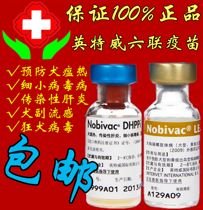 正品保障 英特威犬用6联/六联疫苗 宠物狗狗疫苗 冰邮 宠物疫苗