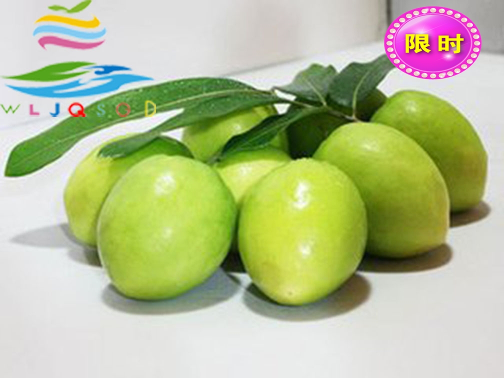 真空包装 荸荠水果仙居斤装直销产地新鲜杨梅