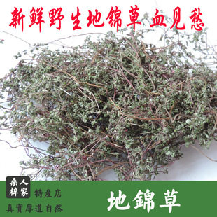 中药材 2015新鲜地锦草 血见愁 卧蛋草 铺地草500g 2份包邮