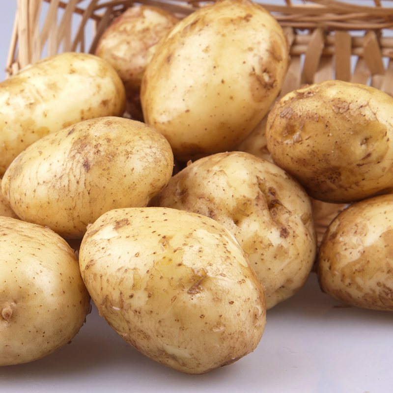 正品[土豆网 韩剧 黄手帕]土豆网黄手帕评测 韩