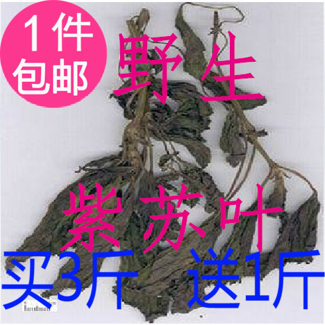 抓药中药材批 发野生紫苏叶500g纯净货1件包邮买3送1