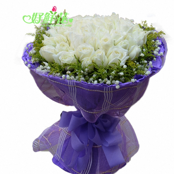 正品[顺义杨镇二手房网]顺义杨镇二手房信息评