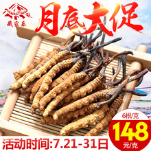 野生虫草正品 六年老店 6根 藏家乐西藏那曲冬虫夏草