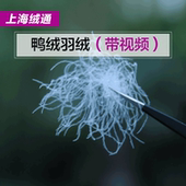 羽绒原料白鸭绒鹅绒大朵 羽绒被羽绒服填充物新国标90羽绒50g 散装