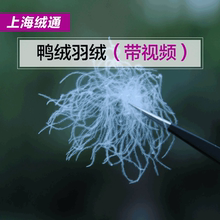 羽绒原料白鸭绒鹅绒大朵 羽绒被羽绒服填充物新国标90羽绒50g 散装