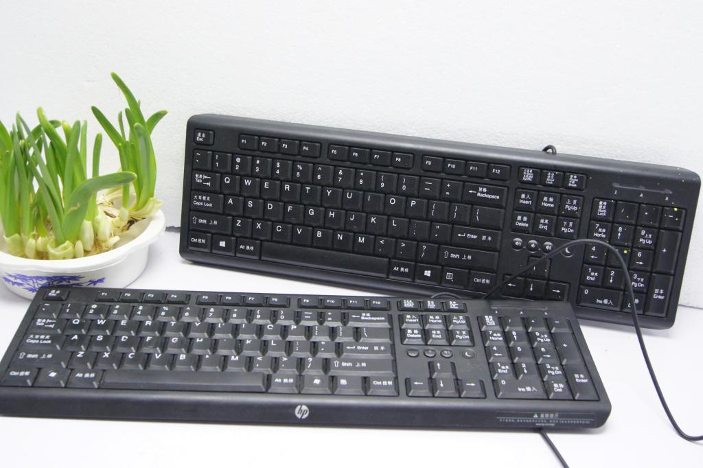 正品[键盘盲打练习游戏]数字小键盘盲打练习评