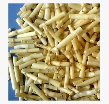 中药材无硫干货白矛根茅草根白茅根500克2斤包邮