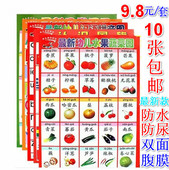 婴儿童早教看图认字拼音挂画 认知启蒙墙画无声单 宝宝识字挂图