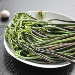 蕨菜 东北野生山野菜 山菇娘山野菜 山蕨菜 1000g