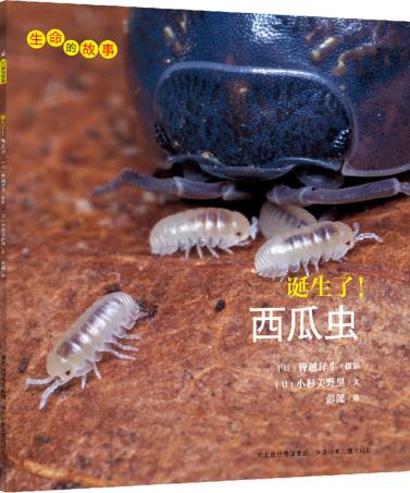 诞生了!西瓜虫-生命的故事 ｔｒ9787537670883 【日】小杉美野里