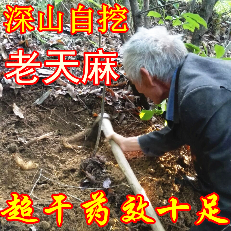 神农架农民自挖无硫特级野生天麻粉可切干天麻片大个老天麻滋补品