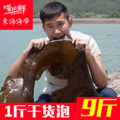 包邮 海带干货渔家自晒海带丝干头结昆布厚500克野生批发 嘴尚鲜