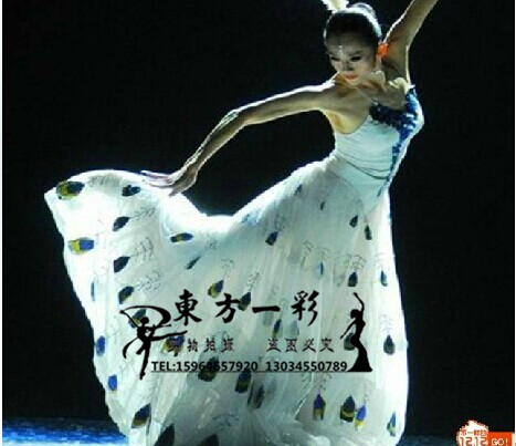 正品[傣族的装饰花纹]傣族服饰花纹评测 傣族少