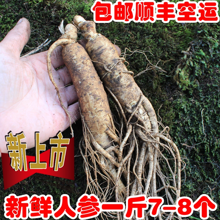 新鲜人参包邮顺丰一斤7-8棵泡酒6年长白山大人参纯天然带土鲜人参