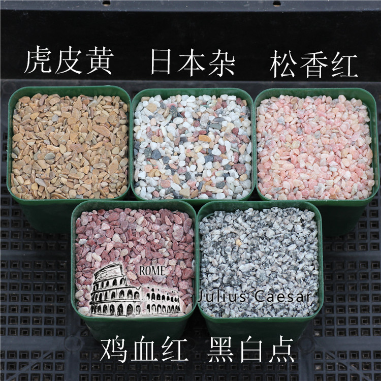 彩色铺面沙,铺面石,多肉铺面,非染色,彩色小石子 400克