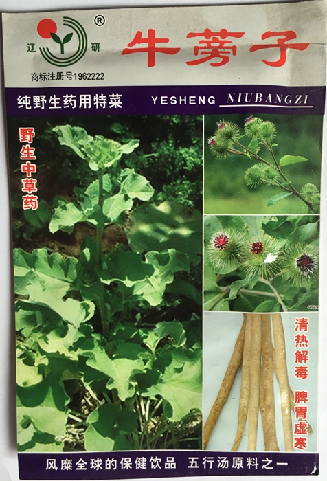中药材 野生（牛蒡子)彩包 纯野生药用 中草药材 五行汤原料花卉