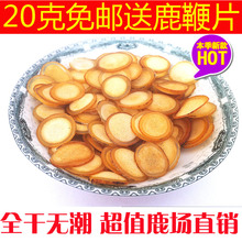 克正宗鹿茸 半蜡片鹿茸片血茸腊片4.8元 鹿茸蜡片 梅花鹿鹿茸整枝