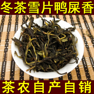 乌龙茶 潮州凤凰单枞茶叶特级雪片鸭屎香单丛茶叶单从茶乌龙茶 金凤