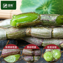 干条500g 绿斛云南非霍山铁皮石斛鲜条枫斗新鲜铁皮石斛礼盒装