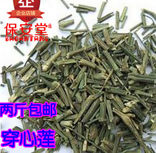 中药材野生正品 穿心莲 一见喜 苦胆草 四方莲 500克