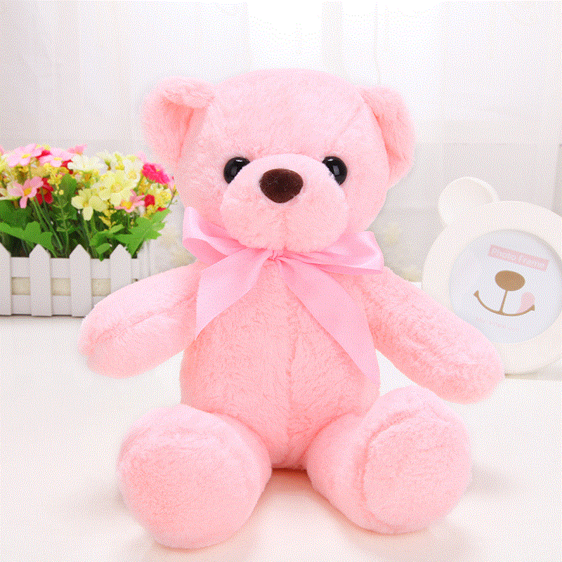 毛绒玩具小号抱抱熊可爱布娃娃泰迪熊公仔小熊粉色彩色熊生日礼物