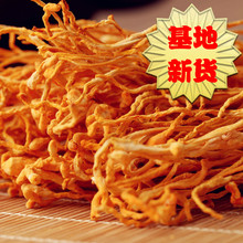 蛹虫草 孢子头500克农家新货 包邮 特级 金虫草 北虫草 虫草花正品