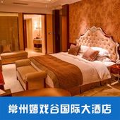 可二次入园 送双早 双人嬉戏谷门票 常州嬉戏谷国际大酒店