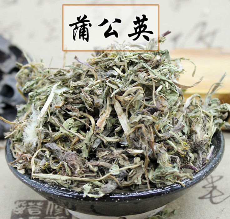 中药材干蒲公英 野生蒲公英 500克包邮蒲公英粉蒲公英茶 花茶草药