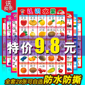 3岁墙贴认知挂画婴儿启蒙识字拼音无声卡片 宝宝挂图幼儿童早教1