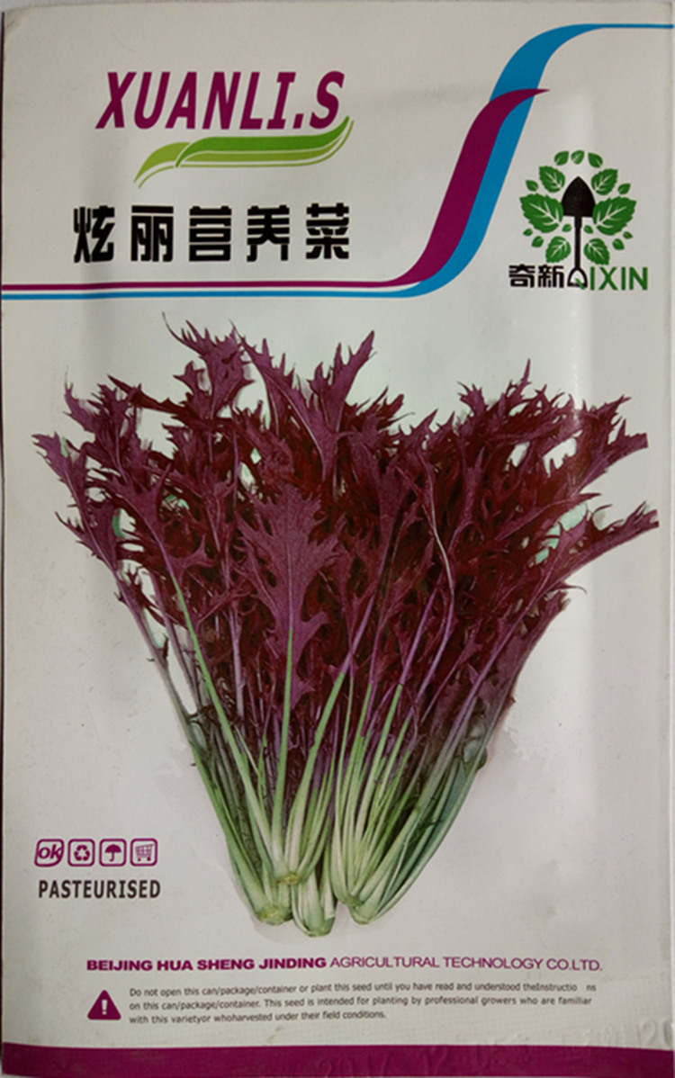 芥菜种子 四季播 包邮紫色生菜菜种子 四季播 包邮 农家蔬菜