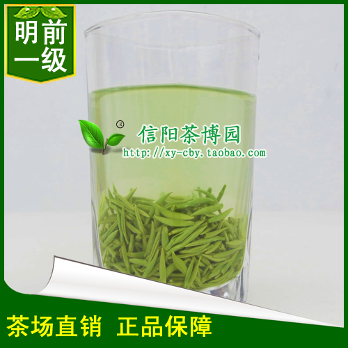 茶博园信阳毛尖2016新茶明前小嫩芽高山茶叶绿茶自产自销春茶250g