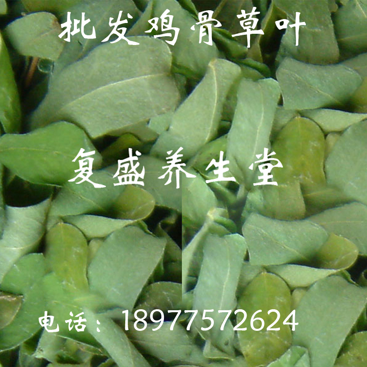 相思鸡骨草茶 鸡骨草叶 清热利湿 护肝退黄250g