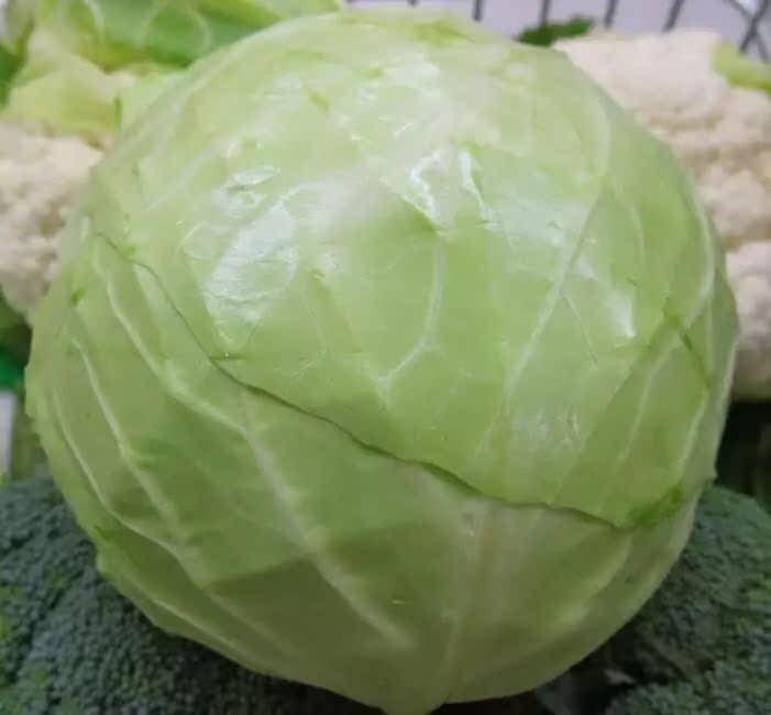 3份包邮四川自制手工现泡洗澡泡包菜泡莲花白圆白卷心菜500g